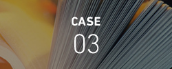 CASE03