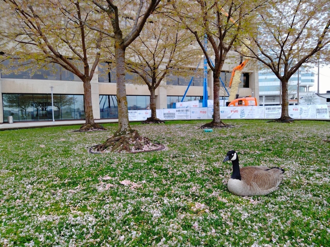 IPOと在宅勤務（就業規則に定めるべき事項と注意点） – 上場準備ライブラリー / IPO Library – S&W国際法律事務所